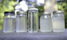 skinny coconut oil purest