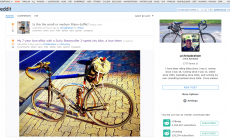 reddit New User Profile and Moderation